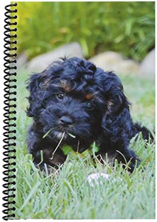 The Superior Register Check and Debit Card Register, Simple Account Tracker & Financial Ledger - Standard Edition (1 Pack – Puppy)