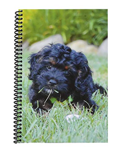 The Superior Register's Premium Check Book Register & Debit Card Ledger Notebook - Checking Account Register, Business Ledger, Cash Log & Expense Tracker - Standard Edition - 1 Pc, Puppy