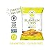 Artisan Tropic Sea Salt Plantain Chips, 4.5 OZ