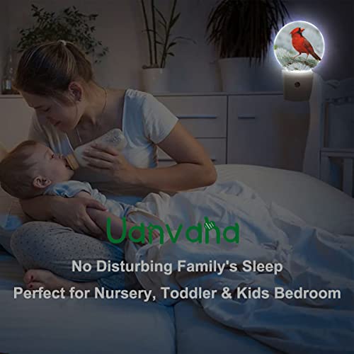 Image of Cardinal Night Light Northern Red Bird On Tree Branch Plug-in Nightlight LED Auto on /Off for Hallway Stairway Kitchen Men Women Bedroom
