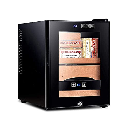JYTFZD YANGDONG- Humidor de...