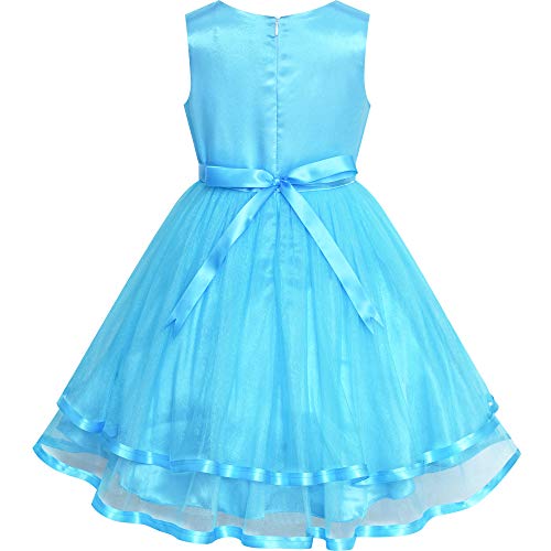 Sunny Fashion Blue Princess Tulle Dress with Hair Clip #TOP25