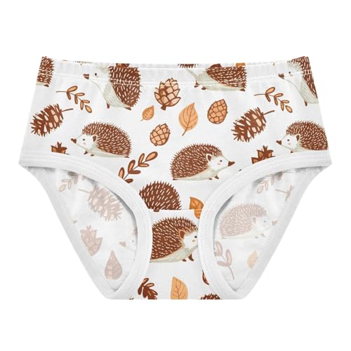 Cute Hedgehog Toddler Girls's Underwear 2T 2301891