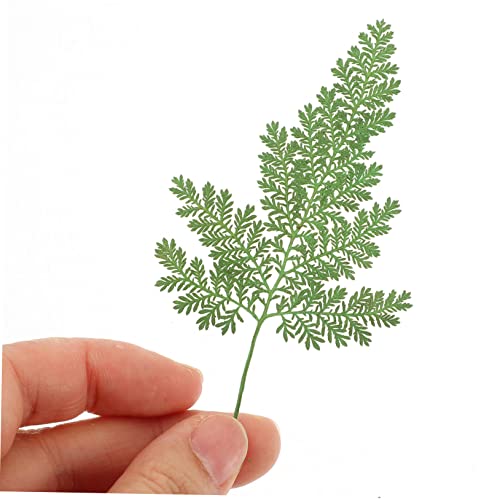 Hojas Secas Naturales 48 Pzs para Manualidades DIY miniatura 7