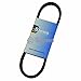 Stens # 265-119 Oem Spec Belt for TROY BILT 9201, TROY BILT GW-9201TROY BILT 9201, TROY BILT GW-9201