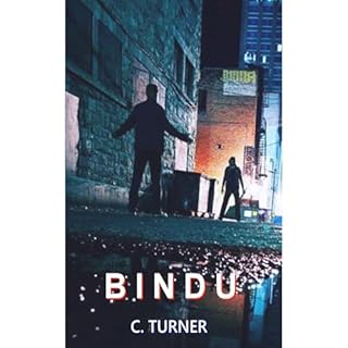 Bindu Audiolibro Por Chris Turner arte de portada