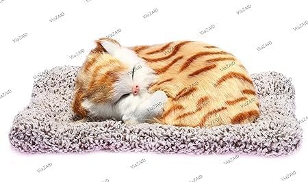 See full amazon price history chart for ViaZAID Cat in Basket Mini Kitten Doll with Meows Sounds by Touching Over The Cat/Kitten Toy Doll Decor for Office Desk Hand Toy Gift for Kids Boys,Girls & Girlfriend (Grey) (E) ViaZAID Cat in Basket Mini Kitten Doll with Meows Sounds by Touching Over The Cat/Kitten Toy Doll Decor for Office Desk Hand Toy Gift for Kids Boys,Girls & Girlfriend (Grey) (E) (B0CKFD8V1F) Amazon Price History, Amazon Price Tracker