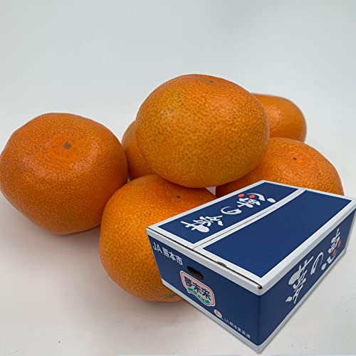 ݂y̌bz 4kg GyrTCYzy11{`{twsz