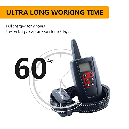 Using Sxdthy Anti-Barking Collar on Dog