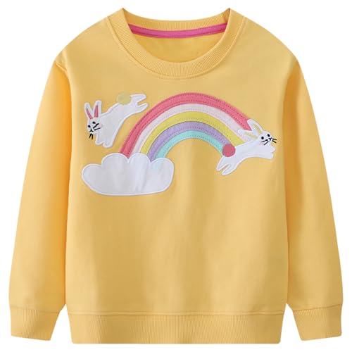DDSOL Toddler Girls Sweatshirt Cotton Sweater Long Sleeve Shirt Little Kids Pullover Tops 2-7 Years