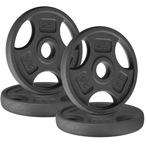Yes4All 1 Inch Grip Cast Iron Weight Plates for Dumbbells – Standard Weight Plates - 2.5lb - 4pcs