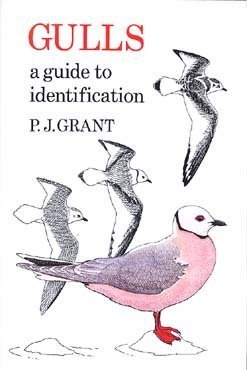 Gulls: A Guide to Identification 093113014X Book Cover