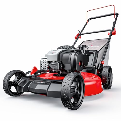 10 Best Lawn Mower Reviews: Top Picks for Effortless Yard Maintenance PowerSmart 21