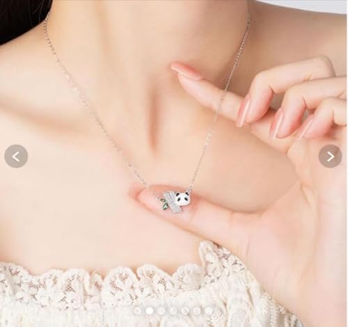 fB[Xp_lbNX y_g ANZT[ Vo[925