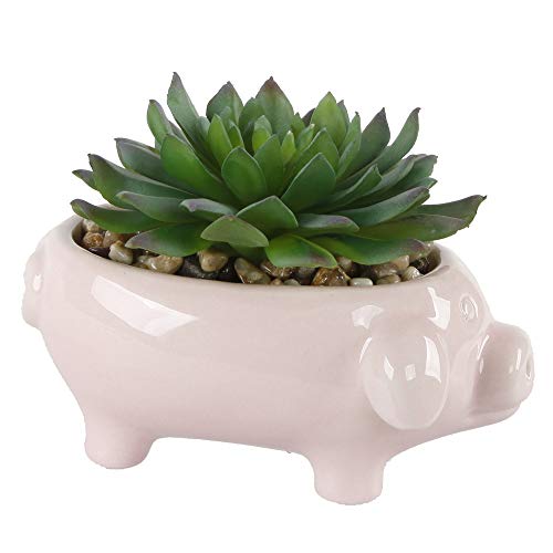 Flora Bunda Artificial Plants in Cute Animal Novelty Planter Set of 2 Pink Artificial Succulent in Pink Ceramic Pig Planter, Desk, Office, Living Room, and Home Decoration, 6.125 x 3.5 x 4 inches