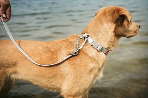 HUNTER Hundehalsung Havanna, Farbe: Greige, mit Kunststoffummantelung, stufenlos verstellbar, Klickverschluss, langlebig, reißfest, witterungsbeständig, pflegeleicht, Gunmetal-Look, Größe: M