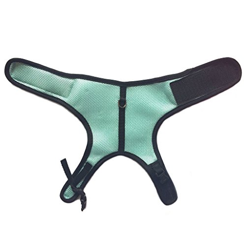 Arnés para gatos pequeños y conejos ajustable azul kit de correa para caminar 6