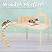 Kronabelle Small Pet Play Stand with Ladder, Hamster Playground with Wooden Fence for Guinea Pigs, Rats, and Squirrels