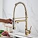 GYEBBJSC Gold Pull Out Spray Kitchen Sink Mixer Tap 360° Rotation Single Hole Faucet