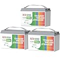 Redodo 3 Pack 12V 100Ah LiFePO4 Battery, Deep Cycle Battery with 100A BMS, Group 31 Battery for 10 Years Lifetime, 4000-15000 Cycles, Perfect for RV, Solar Home, Trolling Motor, Marine, Boat etc