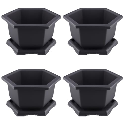 SINJEUN 4 Stück Sechseckiger Bonsaischale mit Untersetzer, 14,2 x 28,7 x 14,7cm Kunststoff Bonsai Schale Blumentopf mit tablett, Pflanzkübel Pflanztopf für Innen und Außenbereich SINJEUN 4 Stück Sechseckiger Bonsaischale mit Untersetzer, 14,2 x 28,7 x 14,7cm Kunststoff Bonsai Schale Blumentopf mit tablett, Pflanzkübel Pflanztopf für Innen und Außenbereich