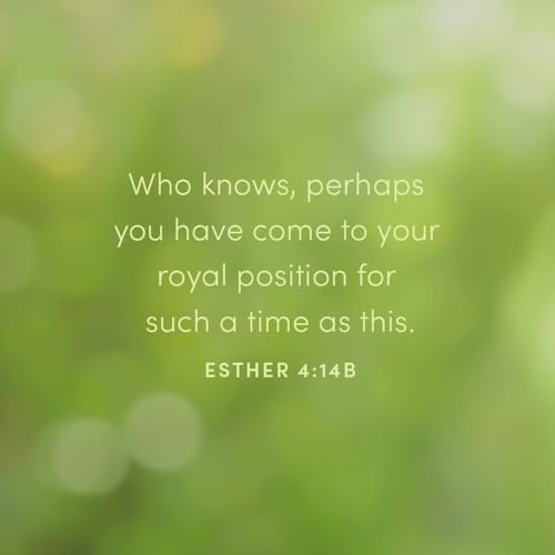 Lifeway Press 465965 Esther - Bible Study Book: It'S Tough Being A Woman thumb #8