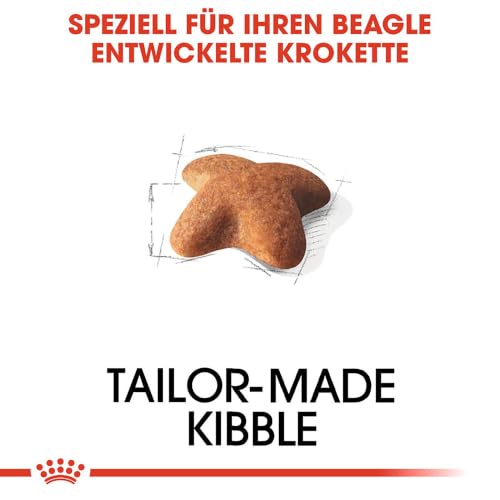 ROYAL CANIN Beagle Adult Trockennahrung für Hunde – 12 kg