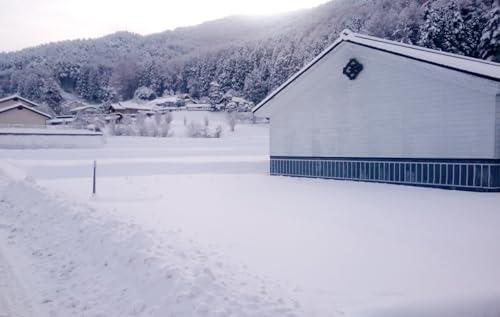 マルサン 信州玉井味噌 限定仕込み味噌 2kg