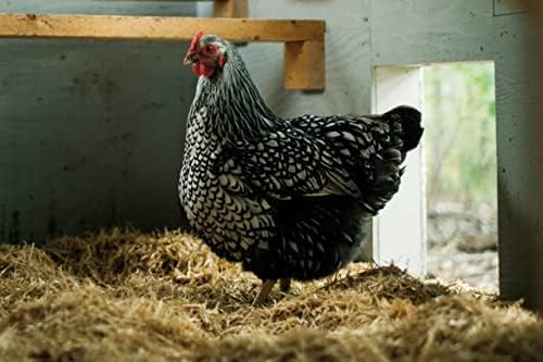 Miniatura 3 de Pala de paja de tamaño completo real, 35" x 19" 12", para decoración de otoño otoño, ropa de cama, sobre siembra,