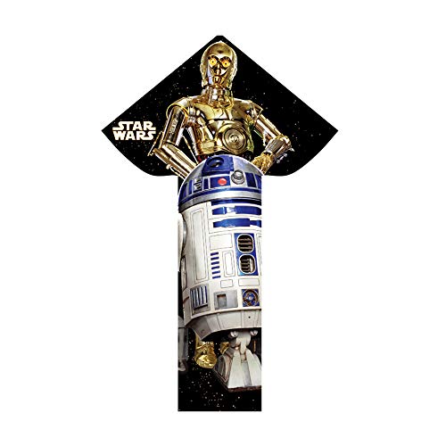 R2-D2 & C3PO Nylon Kite
