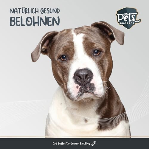 Pets Protect Veggie KAUKNOCHEN für Hunde 5 Stück | Deutsche Herstellung | 100% natürliche Zahnpflege & Zahnreinigung für den Hund | Leicht verdaulich | Hunde- Knochen glutenfrei & vegan