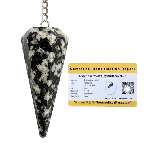 Image of Black and White Tourmaline Pendulum Dowsing Tool - Natural Crystal Pendulum for Spiritual Guidance - Premium Dowser Pendulum for Accurate Divination and Energy Healing - Perfect for Energy Healing and Chakra Balancing - Handcrafted with Precision and Elegance
