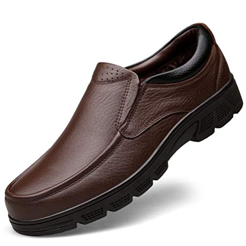 [OceanMap] Y L uE RtH[gV[Y 傫TCY EH[LOV[Y rWlXV[Y JWA YC amC hV̓ ̓Mtg AEghA EH[LO [XAbv ҂ݏグ u[c 29.0cm [Jb