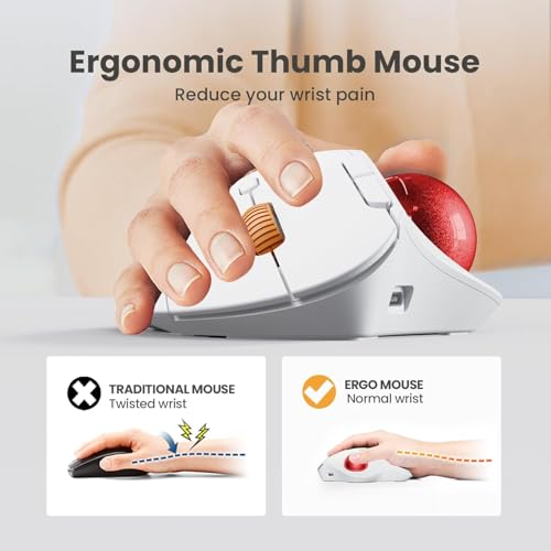 Image of ProtoArc Wireless Trackball Mouse, EM04 Ergonomic Bluetooth Rollerball Mouse Rechargeable Computer Laptop Mouse Thumb Control Mice, Compatible with PC, iPad, Mac, Windows-White Mouse Cherry Ball