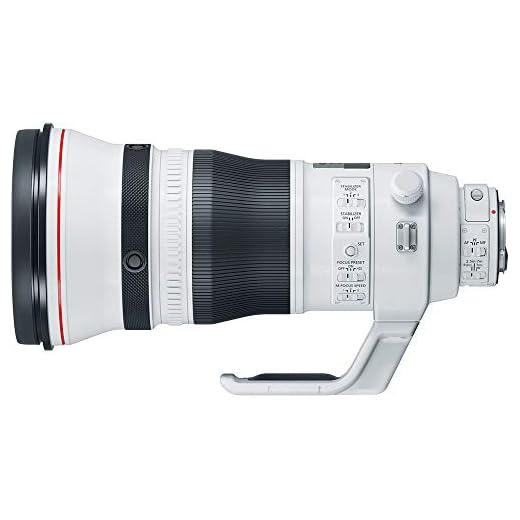 Canon EF 400mm f/2.8L IS III USM Lens