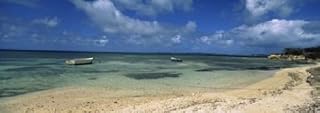 Posterazzi Boats in The sea North Coast Antigua and Barbuda Poster Print, (36 x 13), Varies