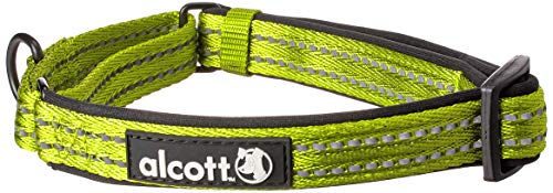 Alcott Martingale Collar With Reflective Stitching & Neoprene Padding, Medium, Green #TOP22