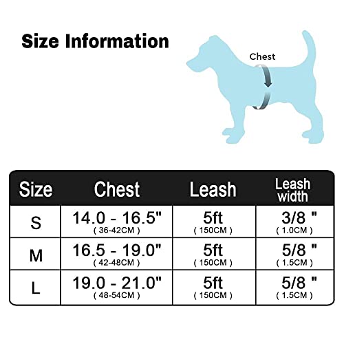 Harnais pour chien chaud et réglable avec laisse chiot