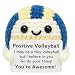 Zelaxeyi Mini Volleyball Ball Birthday Gifts for Men Women Volleyball Players,Funny Crochet Gifts for Volleyballs Lovers, Emotional Support Crochet