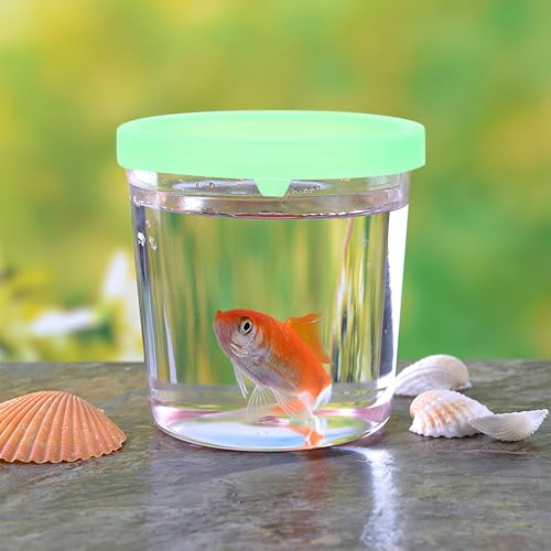 DECOMELODY �����t�����[�J�b�v 12�Z�b�g �N���Q�f�U�C�� �x�^����p�J�b�v �����p�A�����W�����g�p�i �F�w��s�� �����_���J �����_���J���[