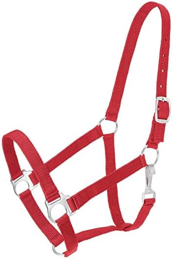 Blessing Horse Horse Halter (RED)