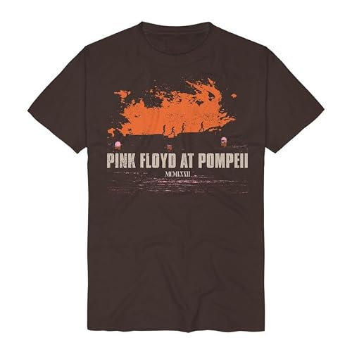 Pink Floyd Pompeii Album Cover Widescreen Homme T-Shirt Manches Courtes Marron