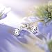 Alex Perry Regalo pendientes mujer pendientes plata pendientes fiesta pendientes swarovski pendientes...