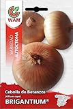 SEMILLA AUTOCTONA CEBOLLA DE BETANZOS