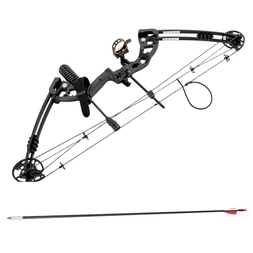 Compound Bow and Archery Sport Sets, Hunting Bow Archery Exercise Body Set,Compound Bow Kit with 12 Arrows Right Hand Archery Hunting Set Workout Athletic Training