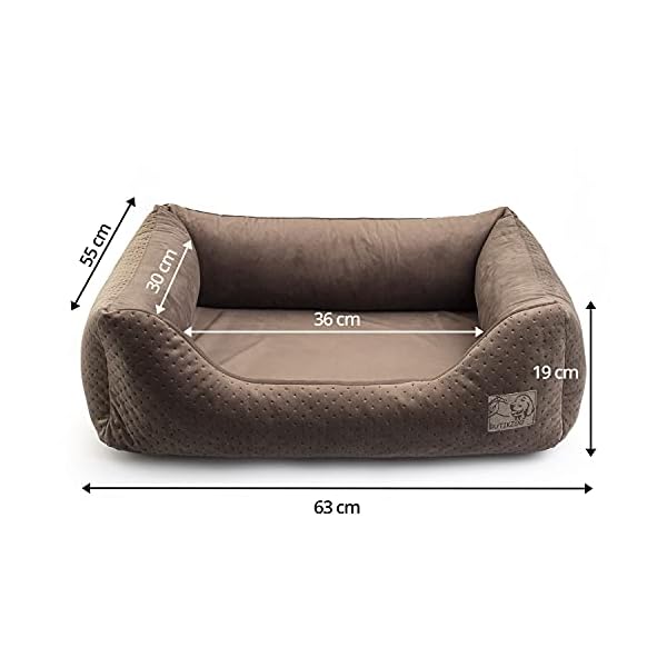 BOUTIQUE ZOO Exclusive Hundebett | Hundeliege, Hundekörbchen mit Kissen | Hundesofa für kleine, mittlere und große Hunde – Bild 4