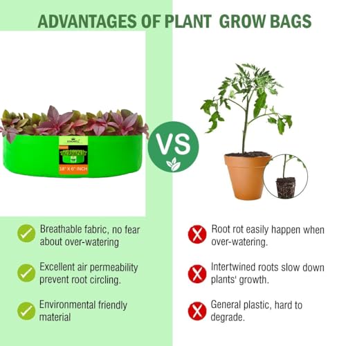 Image of Kingwell grow bags 18x6 inches pack of 2 Grow Bag For Terrace Garden Leafy Vegetable Plant Grow Bags Fruits Growing Containers For terrace Gardening