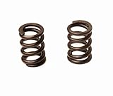 moto thunder tiger electrica  original Thunder Tiger SLIPPER SPRING PD26004KS GTT^