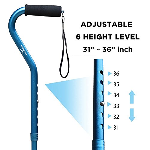 https://m.media-amazon.com/images/I/41c2CitV4FL._SL500_.jpg
