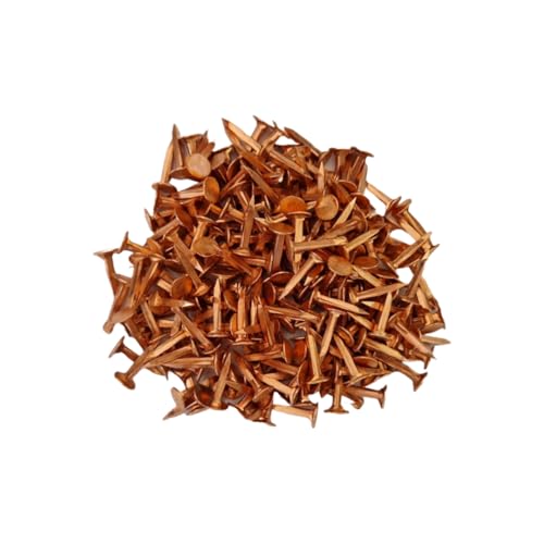 Semences Tapissier Évidées en Cuivre - 14mm 12/6 (6,4 mm Ø) - 100g - Petit Clou idéal pour Pose de Toile, Sanglage, Appointage - Haute Qualité & Fabriqué en France